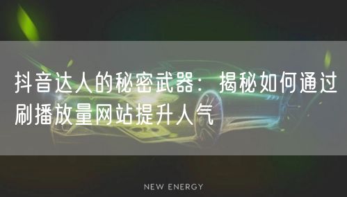 抖音达人的秘密武器：揭秘如何通过刷播放量网站提升人气