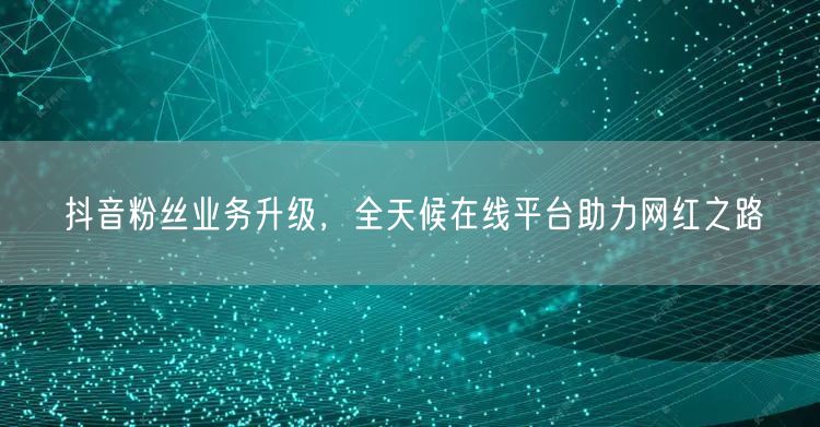 抖音粉丝业务升级，全天候在线平台助力网红之路