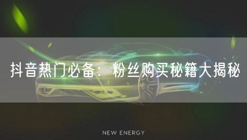 抖音热门必备：粉丝购买秘籍大揭秘