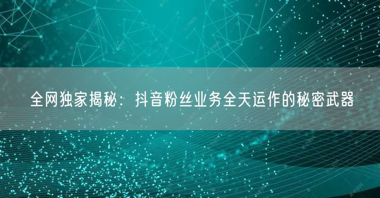 全网独家揭秘：抖音粉丝业务全天运作的秘密武器
