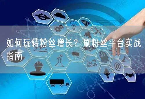 如何玩转粉丝增长？刷粉丝平台实战指南