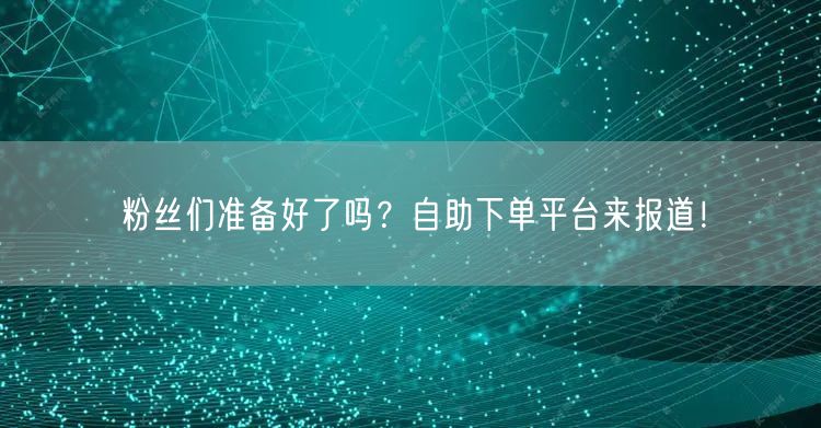 粉丝们准备好了吗？自助下单平台来报道！