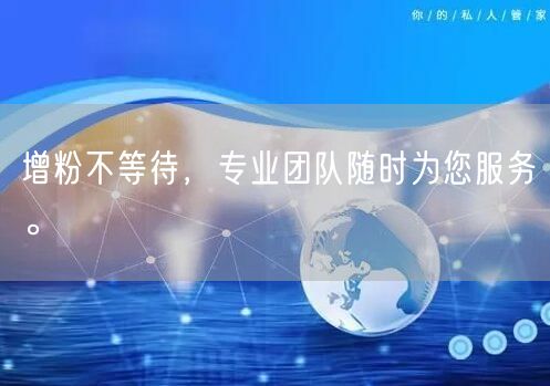 增粉不等待，专业团队随时为您服务。