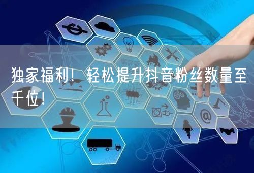 独家福利！轻松提升抖音粉丝数量至千位！