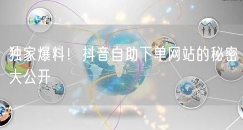 独家爆料！抖音自助下单网站的秘密大公开