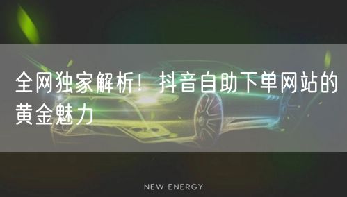 全网独家解析！抖音自助下单网站的黄金魅力