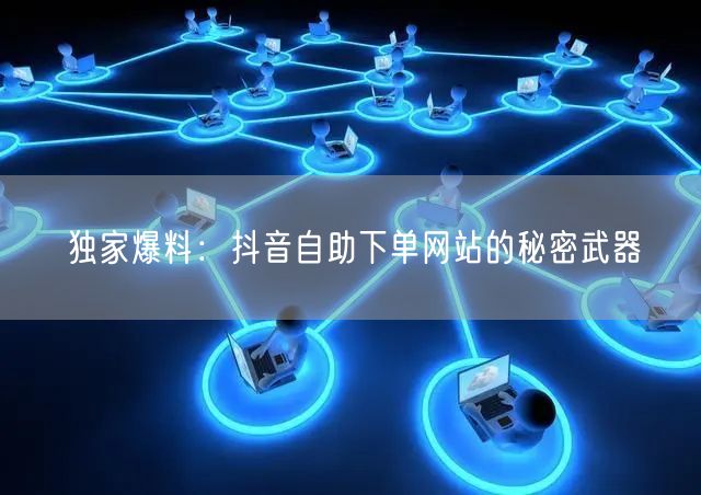独家爆料：抖音自助下单网站的秘密武器
