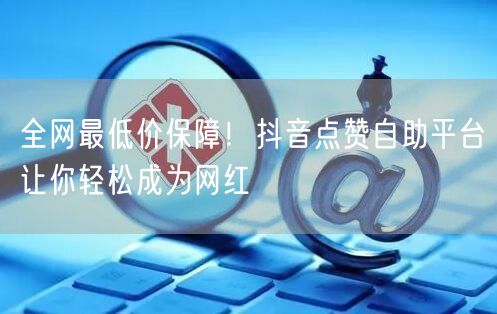 全网最低价保障！抖音点赞自助平台让你轻松成为网红