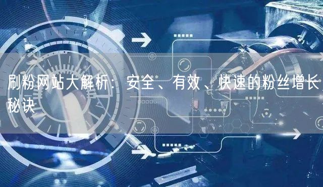 刷粉网站大解析：安全、有效、快速的粉丝增长秘诀