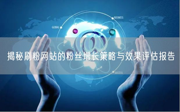揭秘刷粉网站的粉丝增长策略与效果评估报告