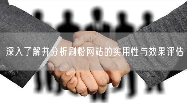 深入了解并分析刷粉网站的实用性与效果评估