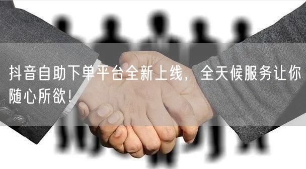 抖音自助下单平台全新上线，全天候服务让你随心所欲！