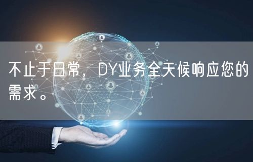 不止于日常，DY业务全天候响应您的需求。
