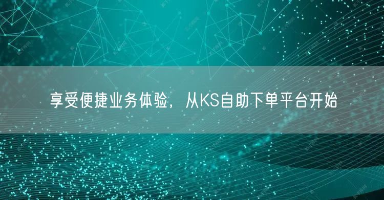 享受便捷业务体验，从KS自助下单平台开始