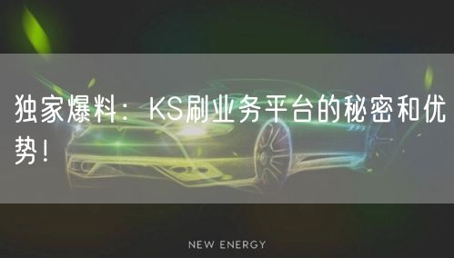 独家爆料：KS刷业务平台的秘密和优势！