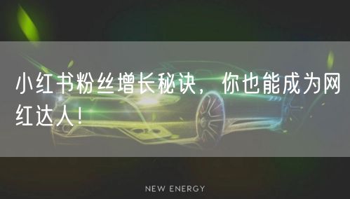 小红书粉丝增长秘诀，你也能成为网红达人！