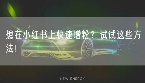 想在小红书上快速增粉？试试这些方法!