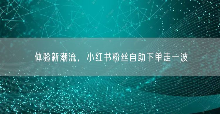 体验新潮流，小红书粉丝自助下单走一波