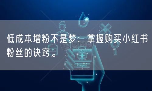 低成本增粉不是梦：掌握购买小红书粉丝的诀窍。