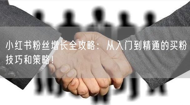 小红书粉丝增长全攻略：从入门到精通的买粉