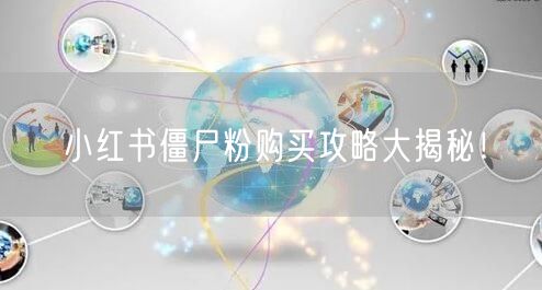 小红书僵尸粉购买攻略大揭秘！