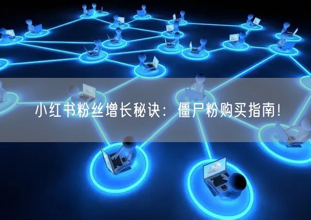 小红书粉丝增长秘诀：僵尸粉购买指南！