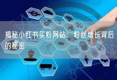 揭秘小红书买粉网站：粉丝增长背后的秘密