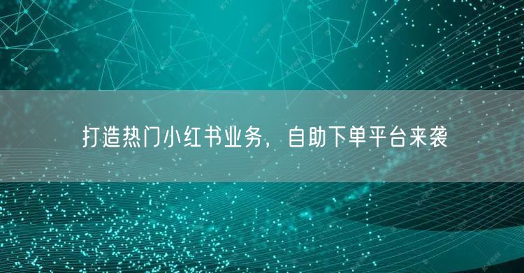 打造热门小红书业务，自助下单平台来袭