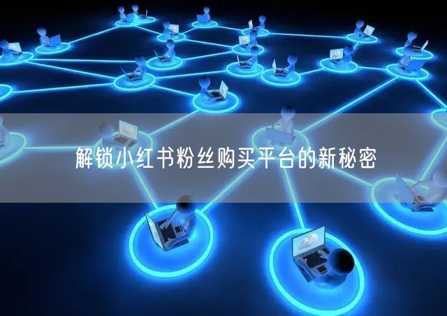 解锁小红书粉丝购买平台的新秘密