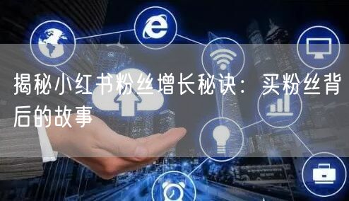 揭秘小红书粉丝增长秘诀：买粉丝背后的故事