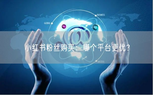 小红书粉丝购买：哪个平台更优？