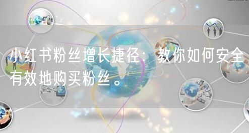 小红书粉丝增长捷径：教你如何安全有效地购买粉丝。