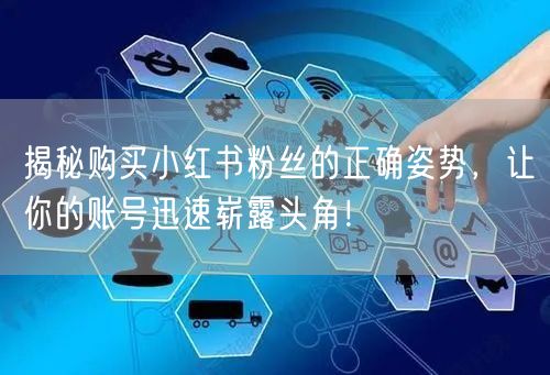 揭秘购买小红书粉丝的正确姿势，让你的账号迅速崭露头角！