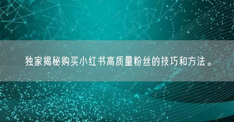 独家揭秘购买小红书高质量粉丝的技巧和方法