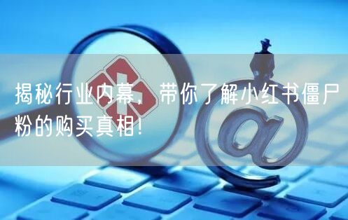 揭秘行业内幕，带你了解小红书僵尸粉的购买真相！