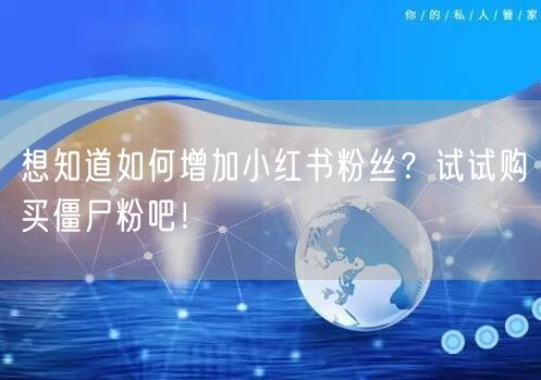 想知道如何增加小红书粉丝？试试购买僵尸粉吧！