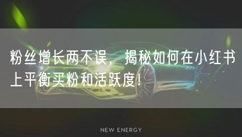 粉丝增长两不误，揭秘如何在小红书上平衡买粉和活跃度！