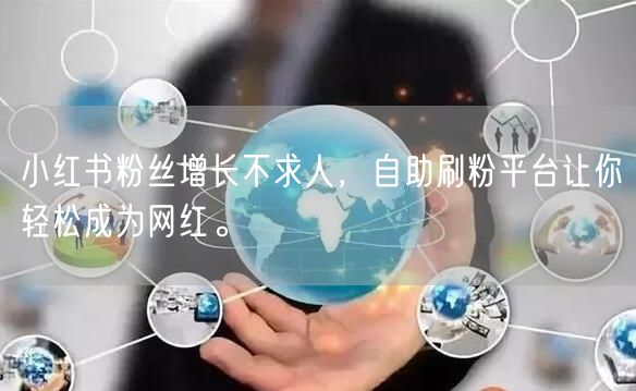 小红书粉丝增长不求人，自助刷粉平台让你轻松成为网红。