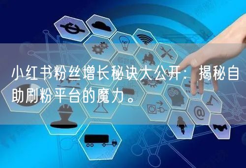 小红书粉丝增长秘诀大公开：揭秘自助刷粉平台的魔力。