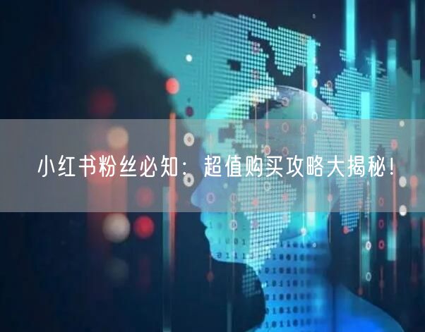 小红书粉丝必知：超值购买攻略大揭秘！