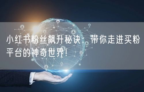 小红书粉丝飙升秘诀：带你走进买粉平台的神奇世界！