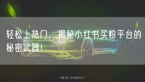 轻松上热门，揭秘小红书买粉平台的秘密武器！