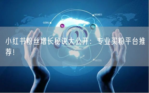 小红书粉丝增长秘诀大公开：专业买粉平台推荐！