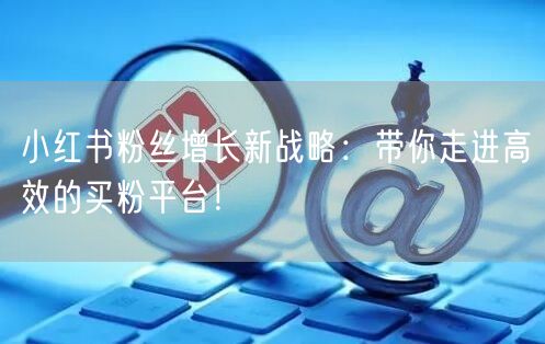 小红书粉丝增长新战略：带你走进高效的买粉平台！