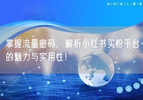 掌握流量密码，解析小红书买粉平台的魅力与实用性！