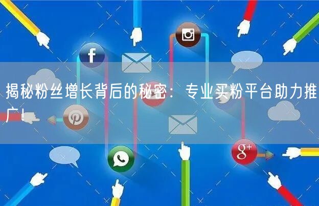 揭秘粉丝增长背后的秘密：专业买粉平台助力推广！