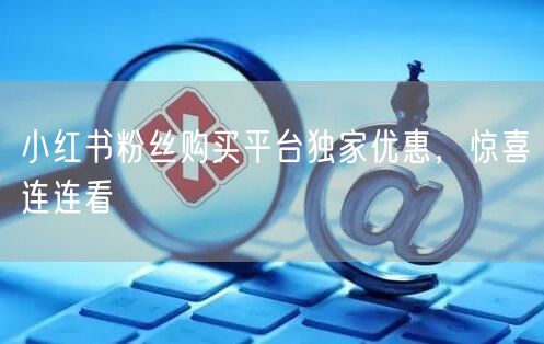 小红书粉丝购买平台独家优惠，惊喜连连看