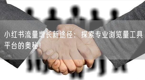 小红书流量增长新途径：探索专业浏览量工具平台的奥秘！