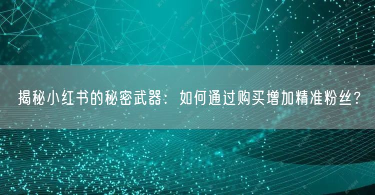 揭秘小红书的秘密武器：如何通过购买增加精准粉丝？