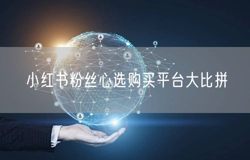 小红书粉丝心选购买平台大比拼